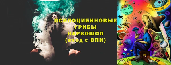 PSILOCYBIN Аркадак