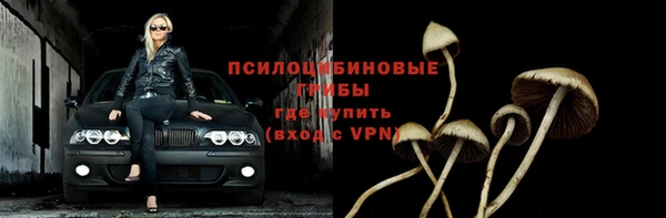 PSILOCYBIN Аркадак