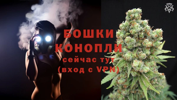 герыч Арсеньев