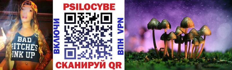 Галлюциногенные грибы Psilocybine cubensis Долгопрудный