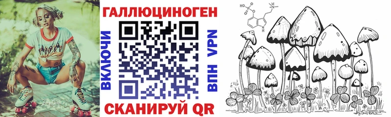 Псилоцибиновые грибы MAGIC MUSHROOMS  hydra ONION  Долгопрудный 