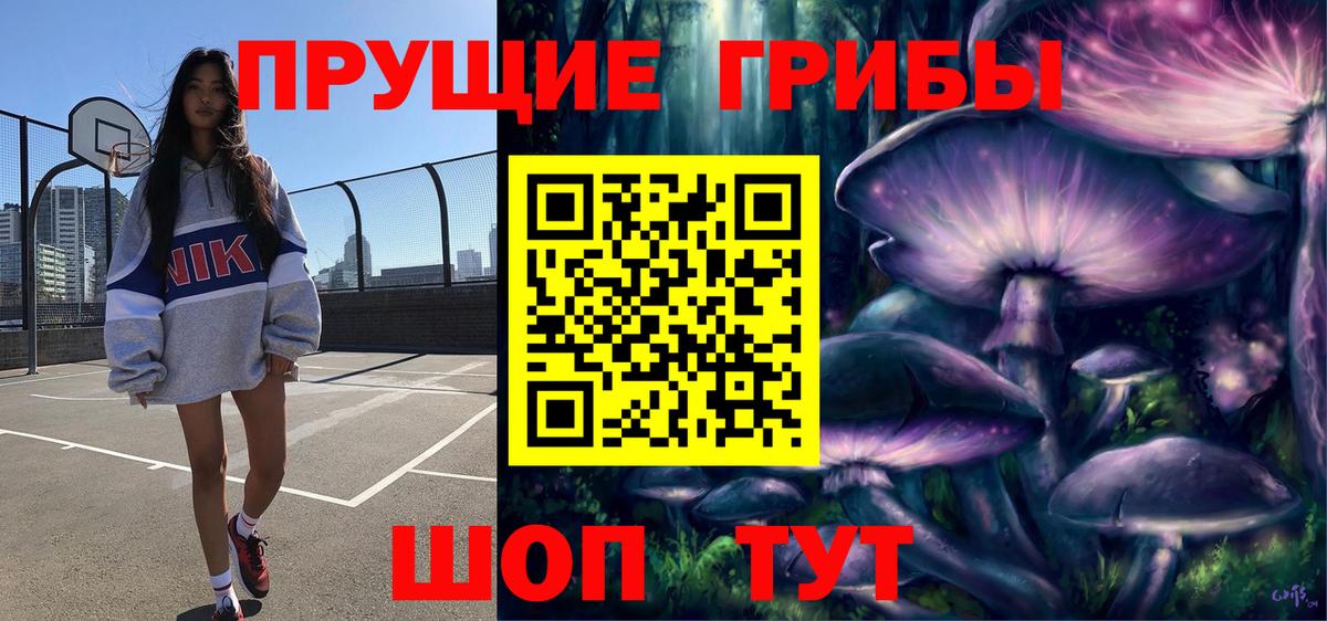 Долгопрудный  что такое наркотик  Вход с VPN  Псилоцибиновые грибы GOLDEN TEACHER  Галлюциногенные грибы Magic Shrooms 
